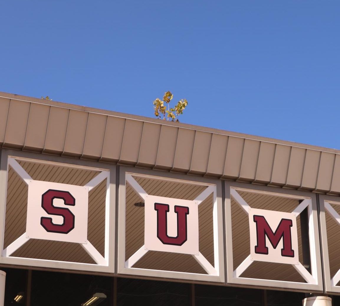 Above the school, the sprout looms looking down over students as they enter for the day. 