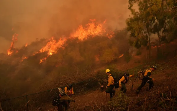 The Los Angeles fire rages through the San Fernando Valley. 