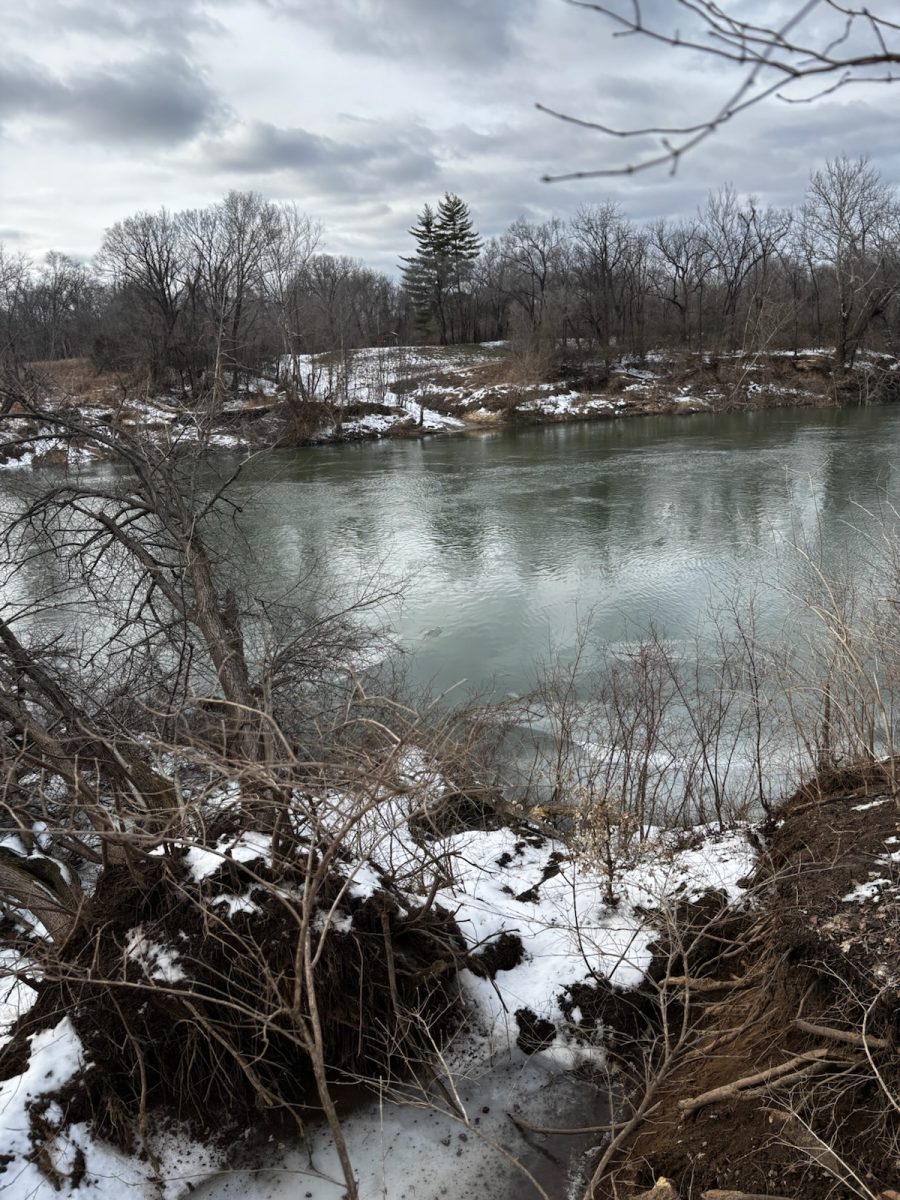 The snow melt filled Meramec River on Jan 20.  