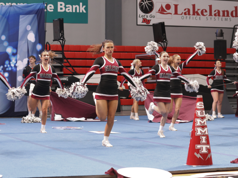 Gallery: Cheer wins big at state