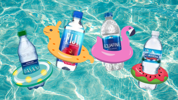 in the image, various brands of plastic water bottles float in the pool. (media created by Madison Stevens)