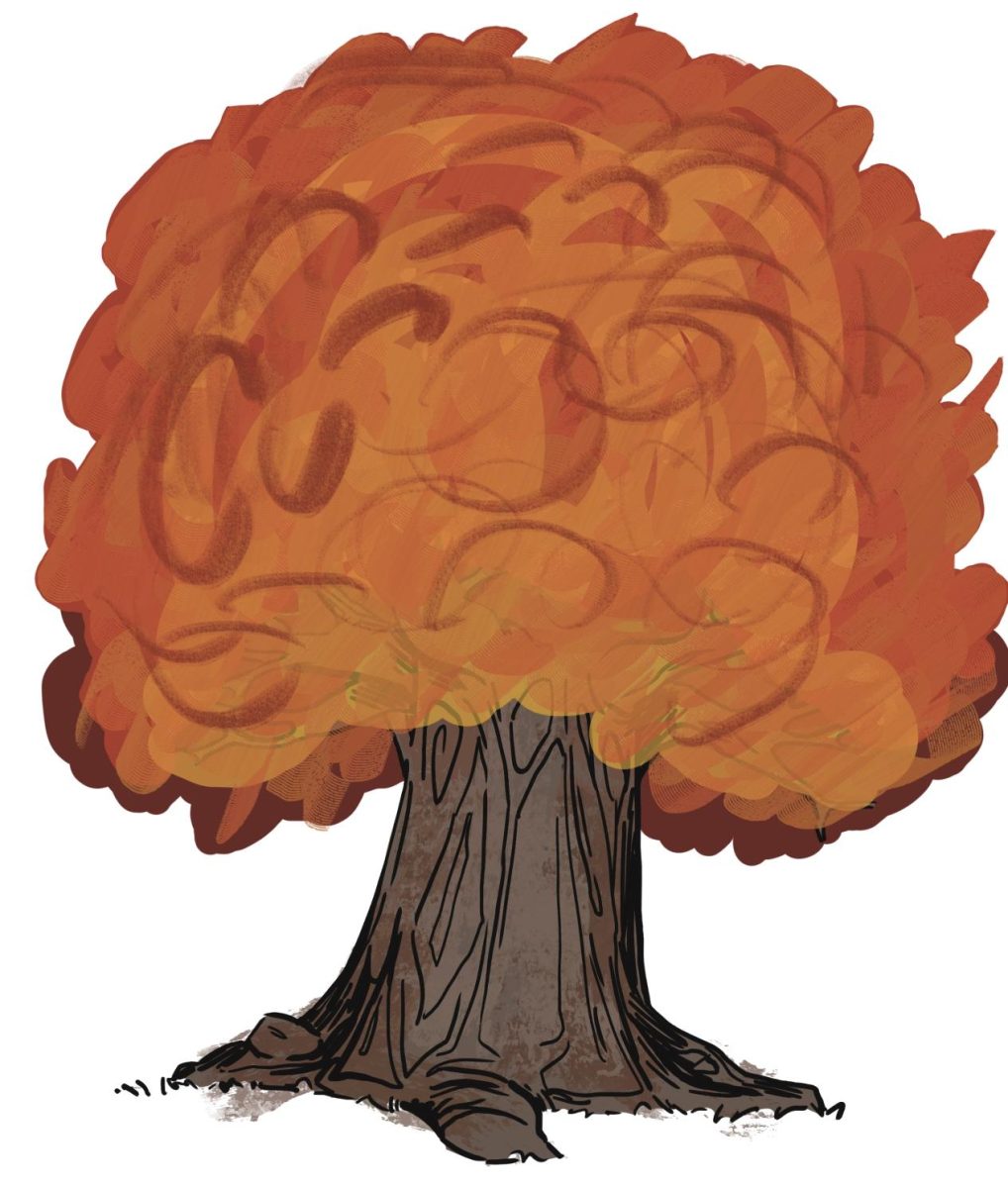 A drawing of a tree changing colors in the fall. (media created by Audrey Venneman)