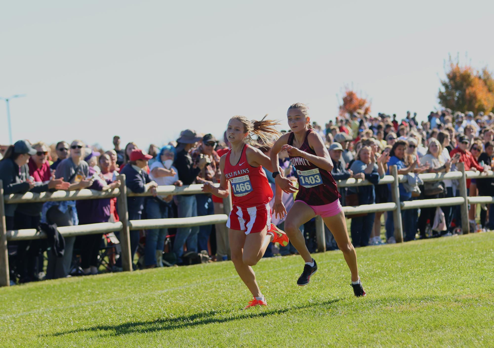 Gallery: Girls cross country competes as a team at state meet