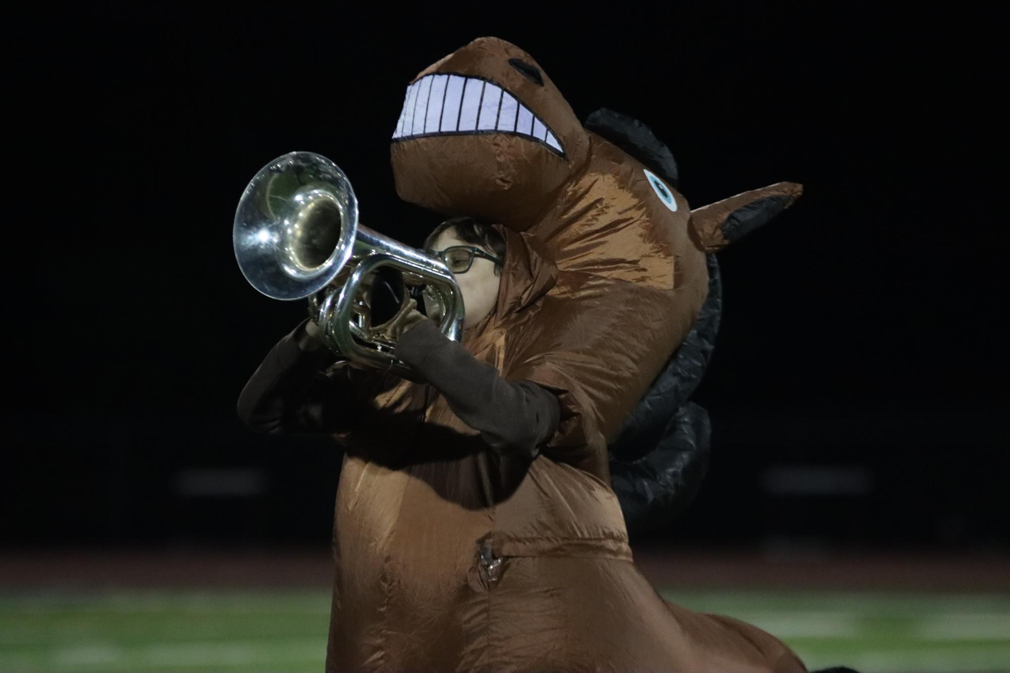 Gallery: Falcons dominate Parkway South