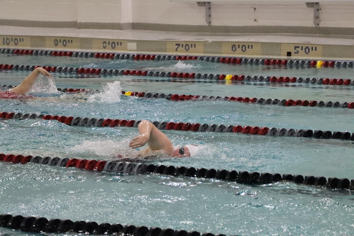 Senior Sydney Willmann works
on her freestyle in practice on Dec. 3.
