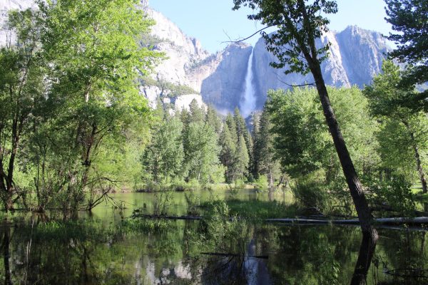 In California's Yosemite National Park, a quiet pond sits below a roaring waterfall on May 25, 2025. Full of natural beauty, Yosemite spans approximately 1,178 miles in California's Sierra Nevada mountains. In 2025, Yosemite lost nearly 25% of its staff members after President Trump's budget cut agenda.